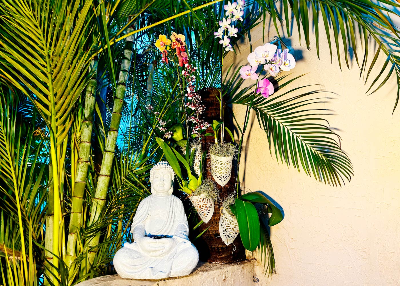 Green basket on tropical tree