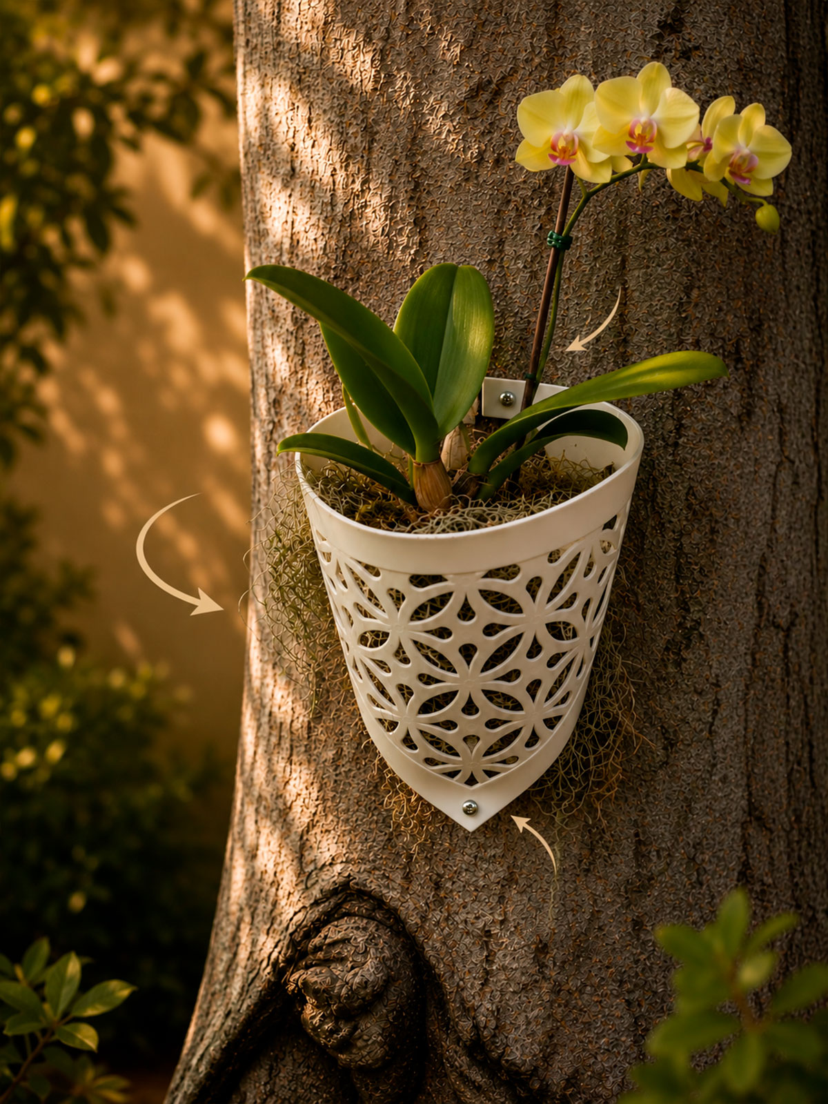 Plant & enjoy